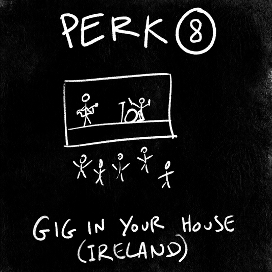 Perk 8: Gig in your house (Ireland)